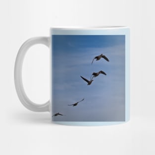 Greylag Geese in flight Mug